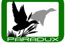 Logo for  