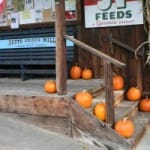 Harvest Festival – Butte Creek Mill