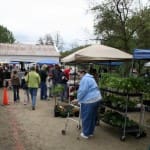Vintage Faire at the Butte Creek Mill