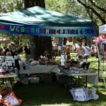 Spam Festival 2011 (18)