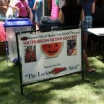 Spam Festival 2011 (6)